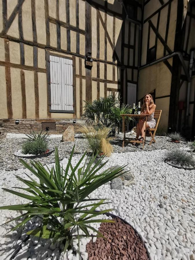 La Marmotte De La Cathedrale - Calme - Jardin Apartment Троа Екстериор снимка